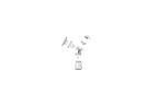 Maternity Mommy Doopser  |  Double Electric Breast Pump